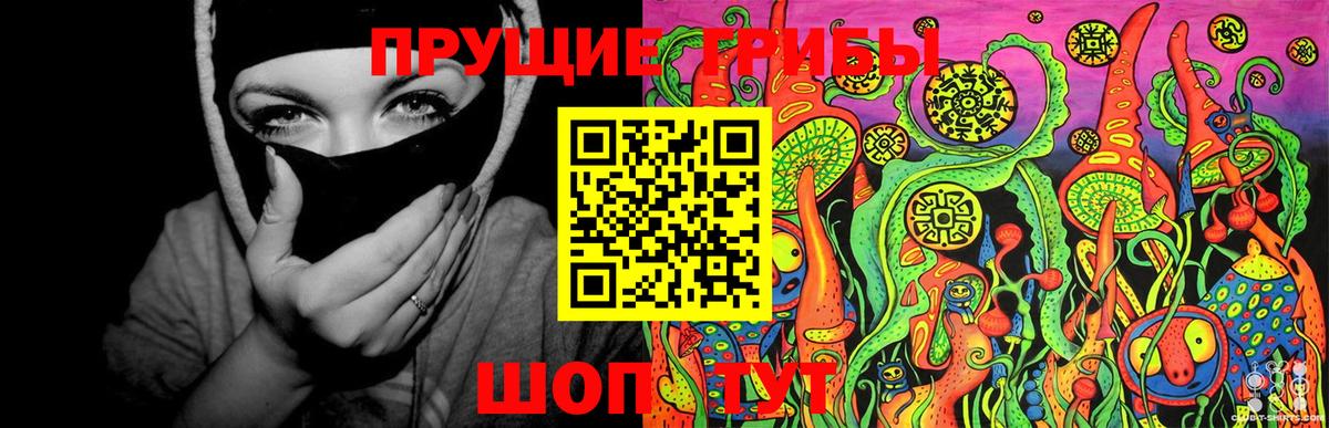 Псилоцибиновые грибы MAGIC MUSHROOMS  Вход с VPN  цена наркотик  Хабаровск 